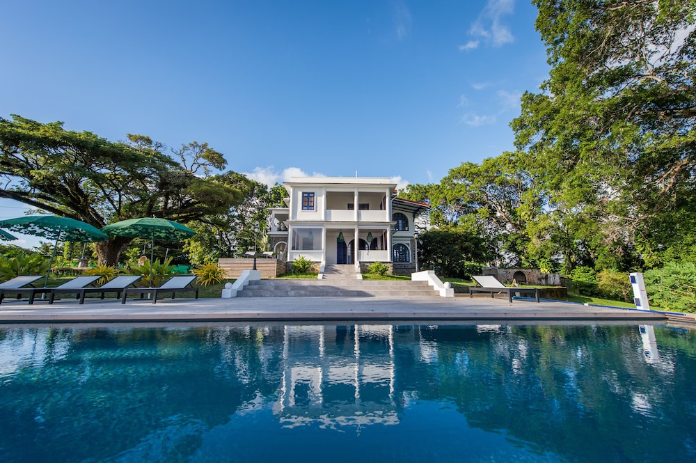 Apolline Martinique by null