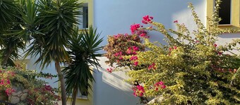 Villa Tokur