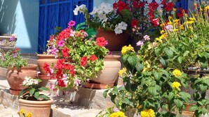 Exterior - Domizil Lina Art (Kusadasi)