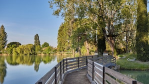 Een houten brug over een rustig meer, omzoomd door bomen.