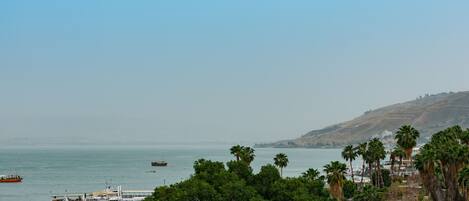 A coastal area with a boat docked near the shore, surrounded by dense greenery and hills in the background.