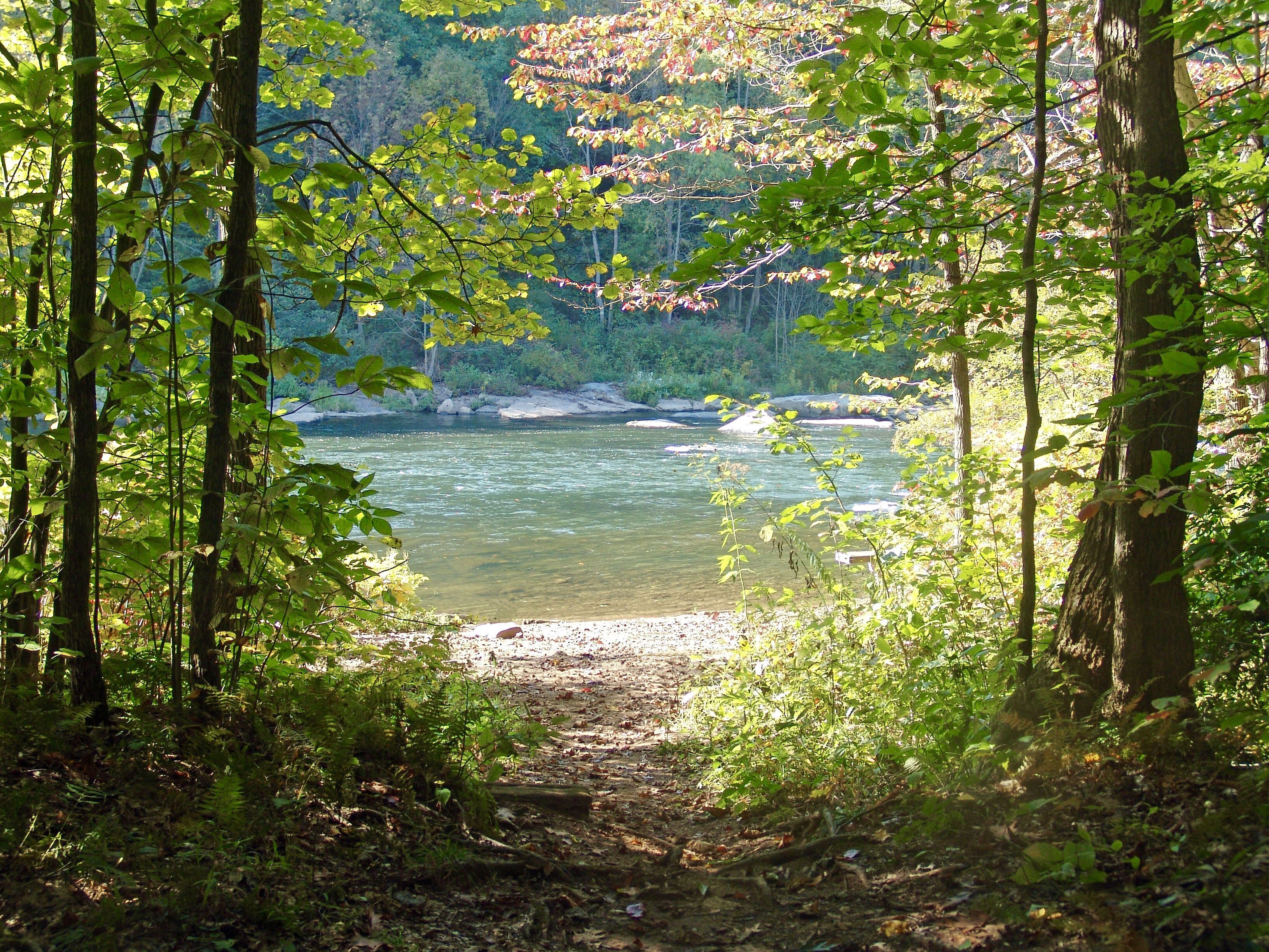 A forested area with a river, a dirt path leading to the river, and dense foliage.