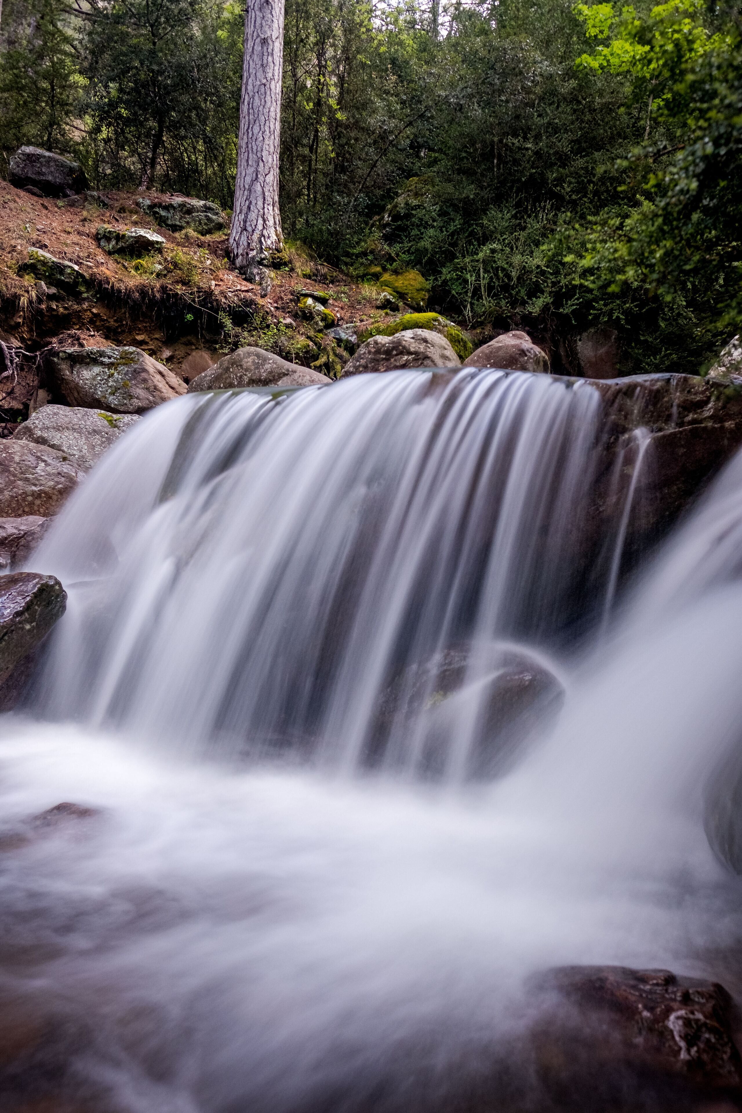 Een waterval in een bebost gebied met rotsen en bomen.