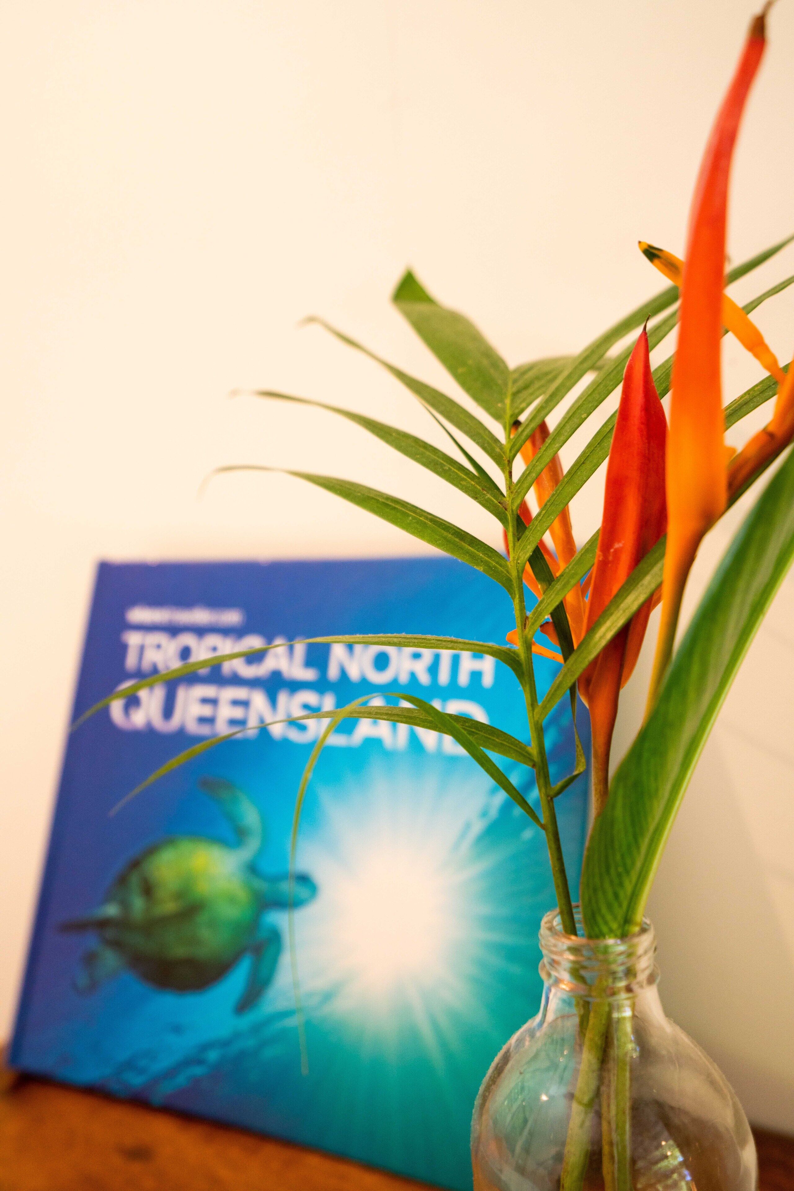 A glass vase with a plant on a wooden surface, with a book titled "Tropical North Queensland" in the background.