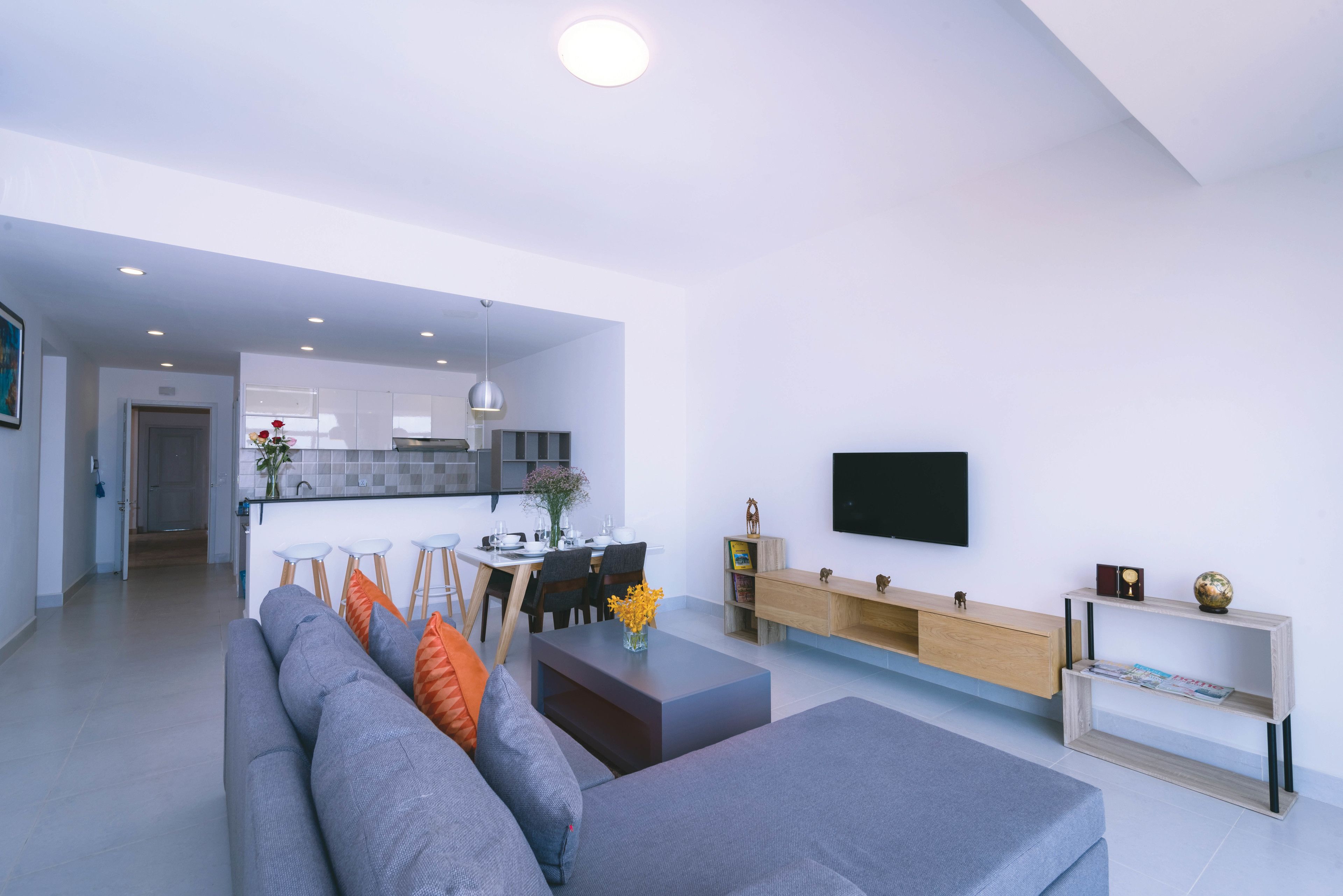 Una sala de estar moderna con un sofá gris, una mesa de centro y un televisor sobre un mueble.