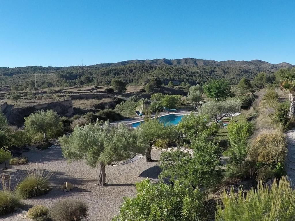 Una piscina rodeada de árboles y colinas.