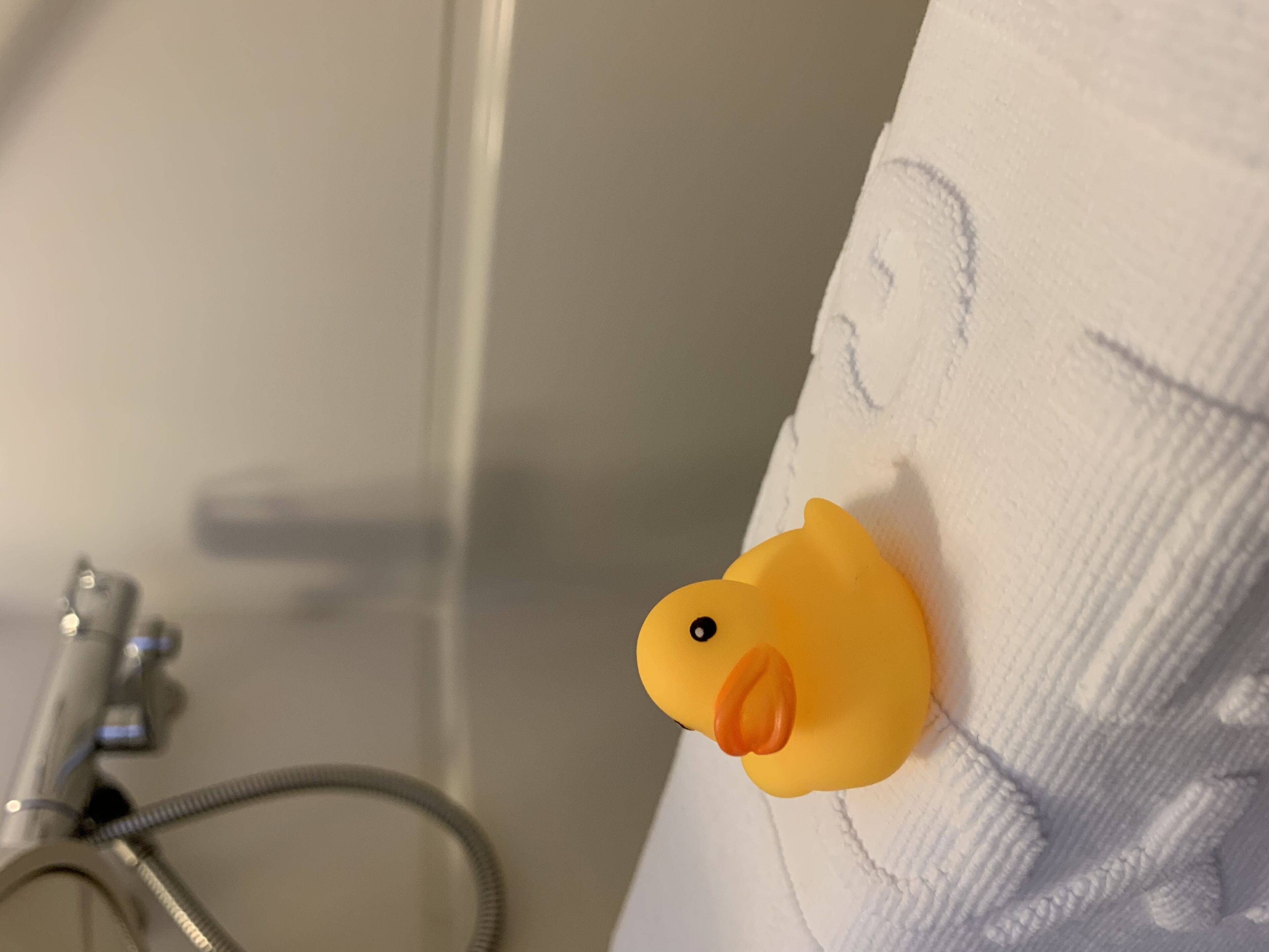 combined shower/bathtub, free toiletries, hair dryer, slippers