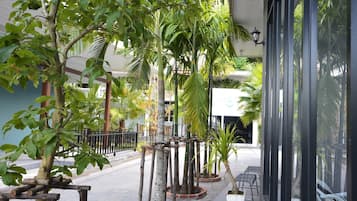 Vista desde la propiedad