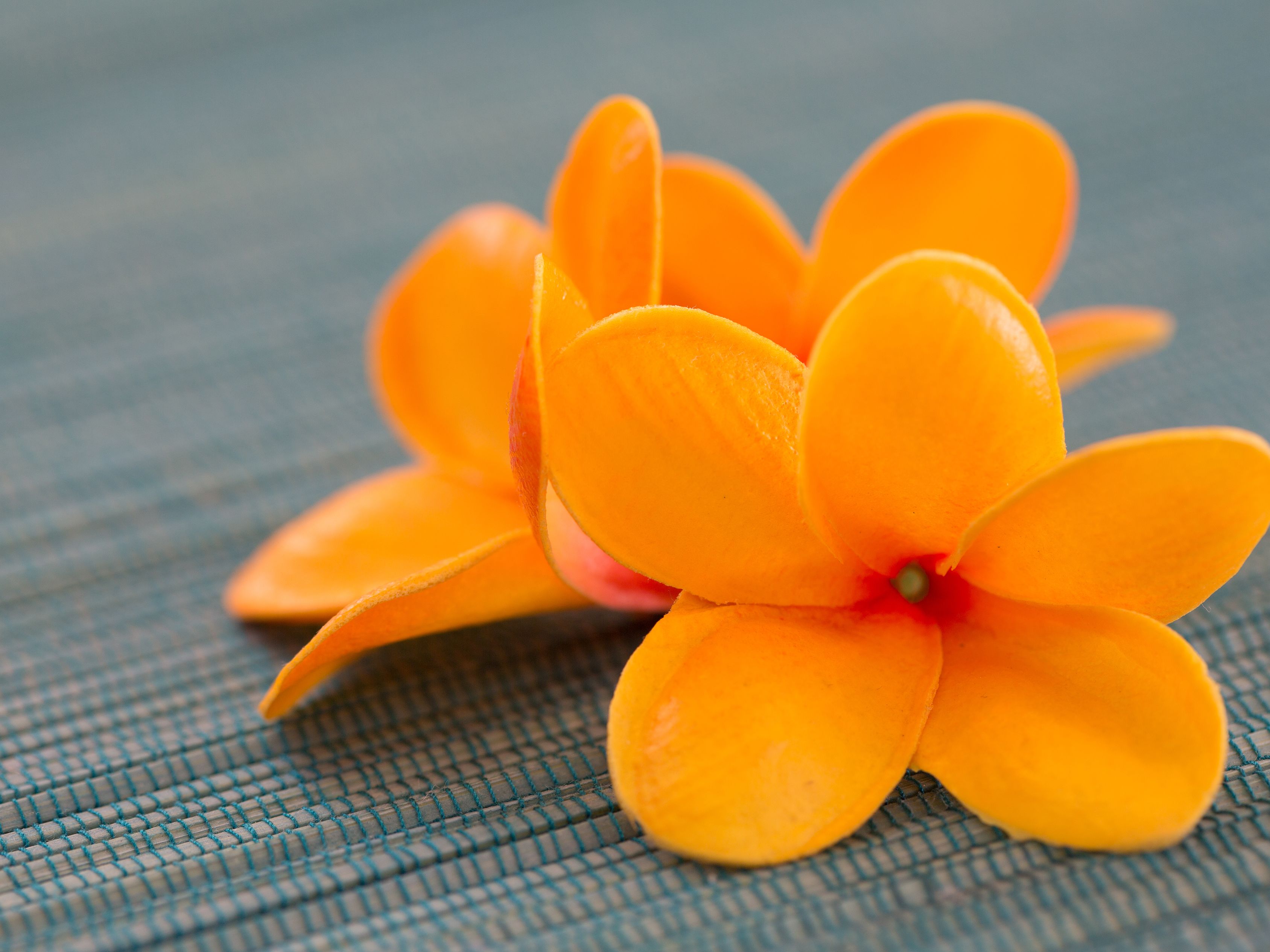 superior twin room (with complementary airport shuttle services) | premium bedding, down duvets, in-room safe, desk