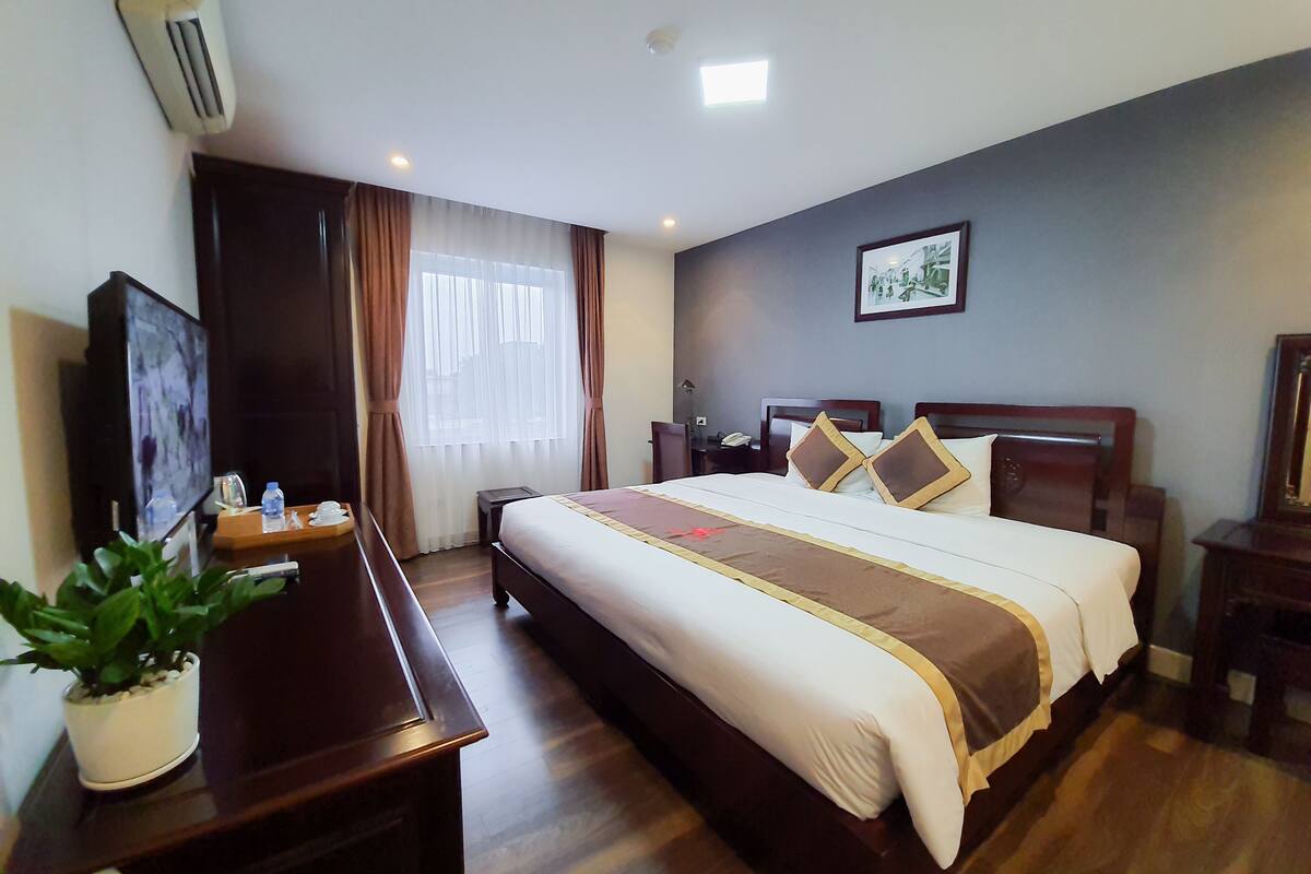 Habitación de hotel con una cama grande, un escritorio con una planta, un televisor y una ventana con cortinas.