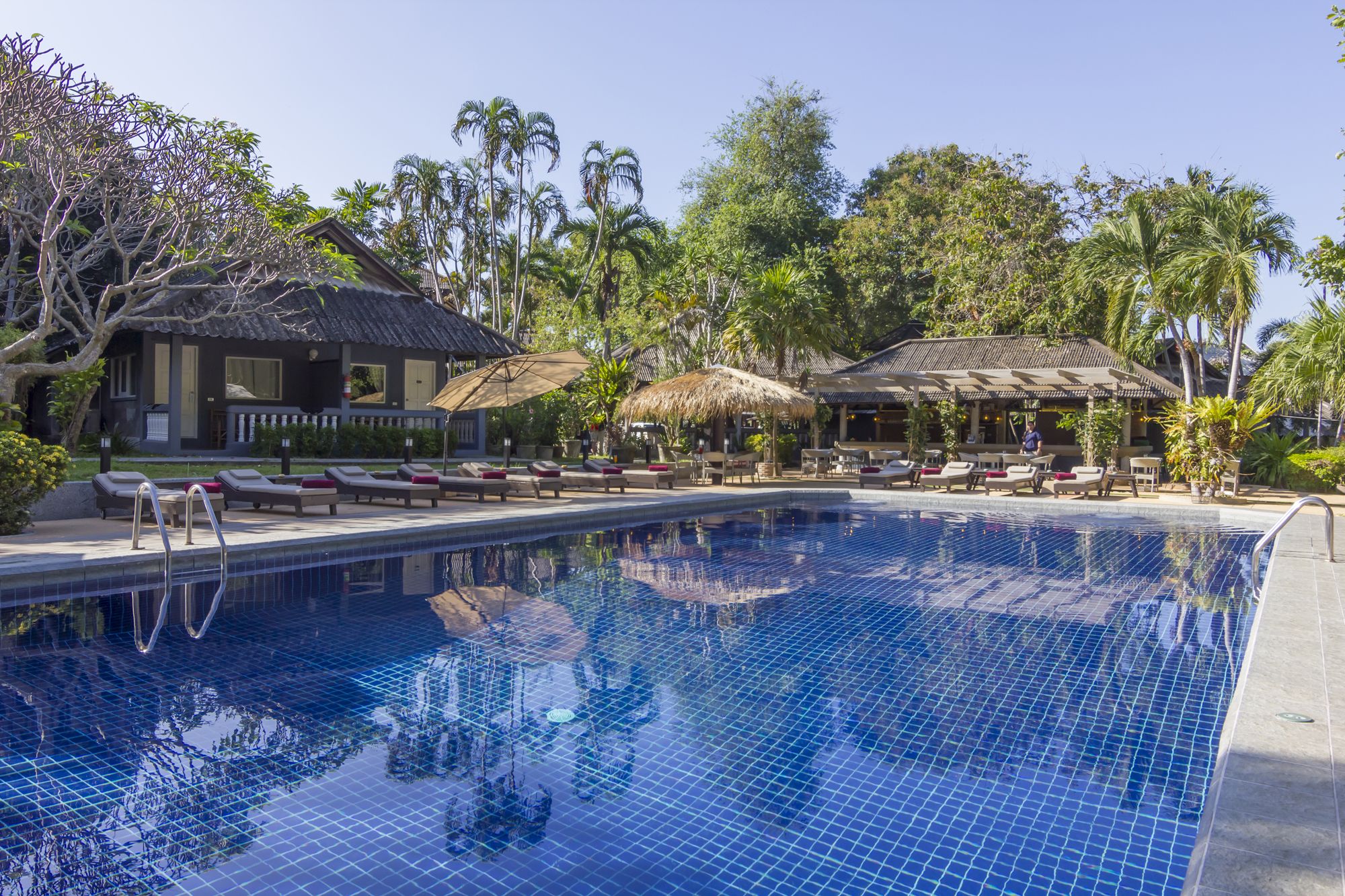 Outdoor pool, sun loungers