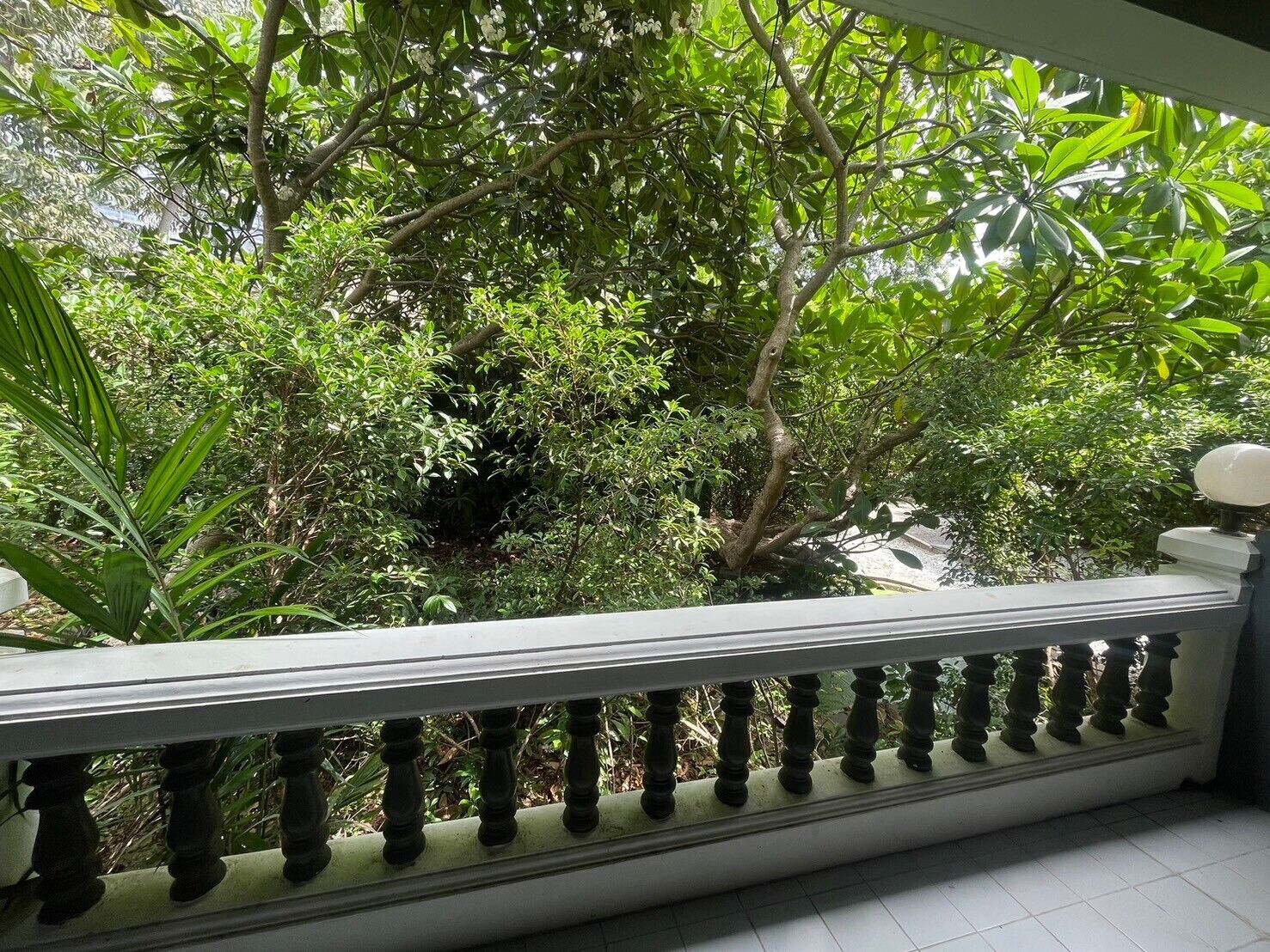 standard roh garden | terrace/patio