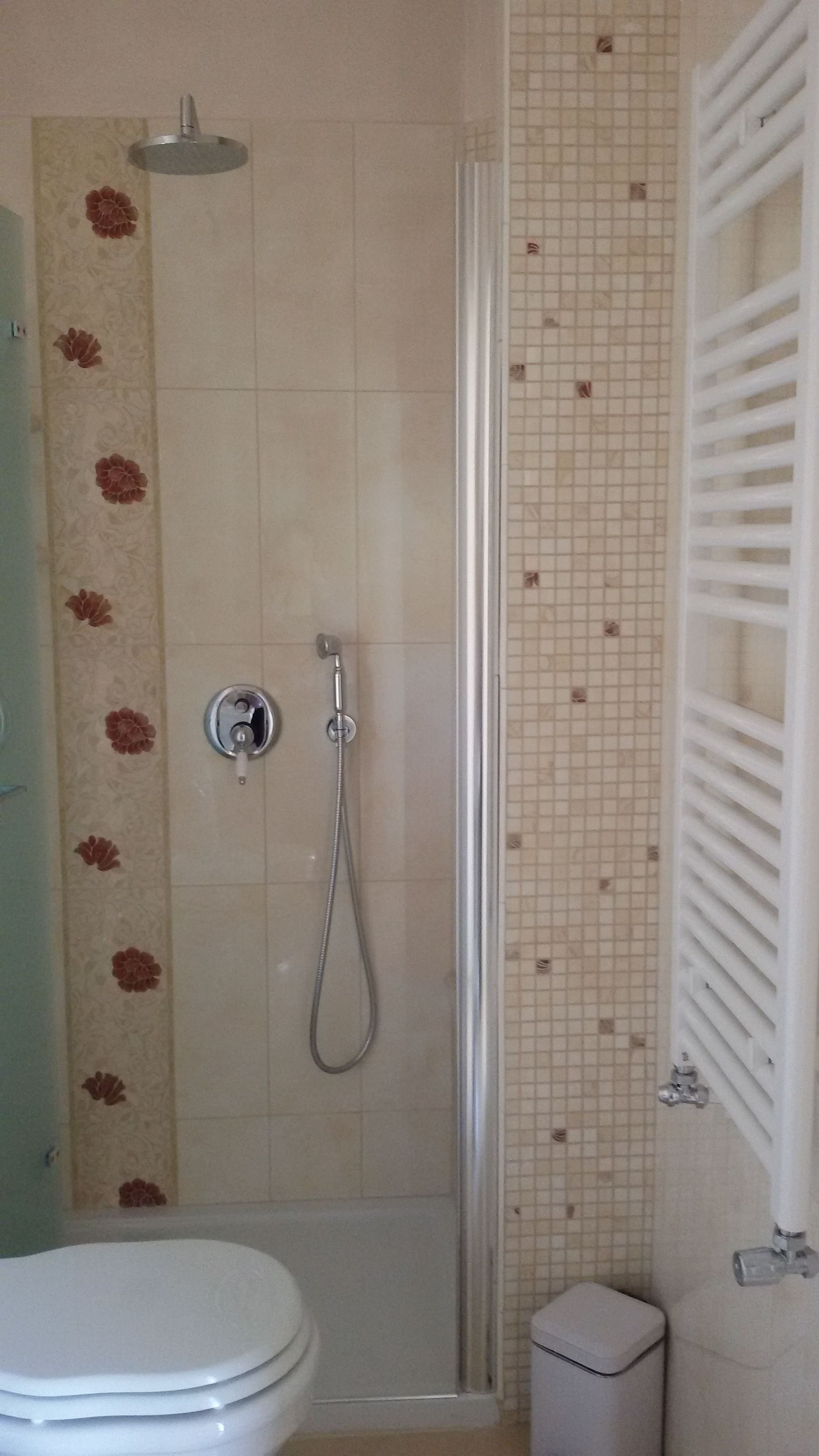 A bathroom with a shower, toilet, and a tiled wall with a floral pattern.