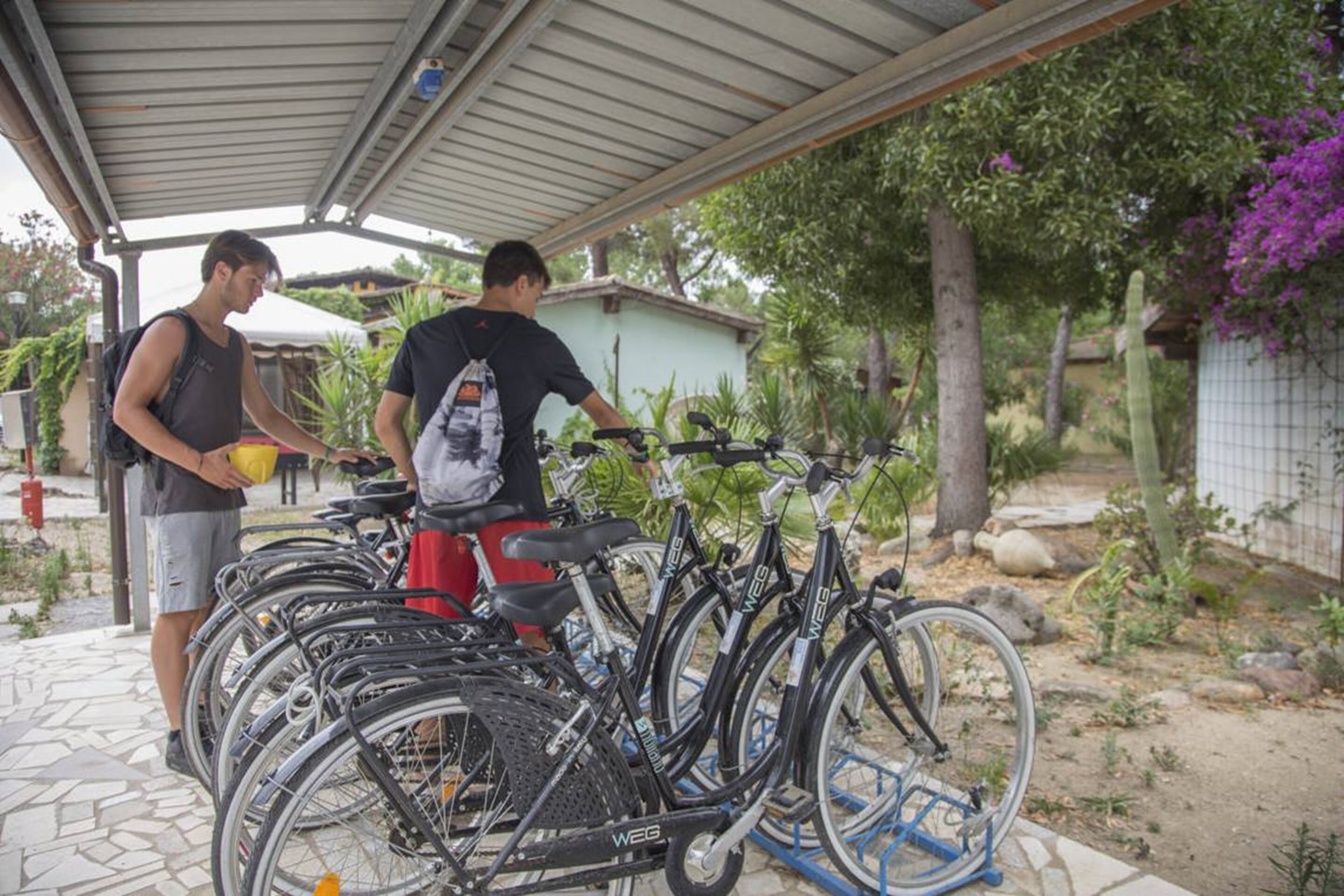 A covered outdoor area with bicycles parked under a shelter.