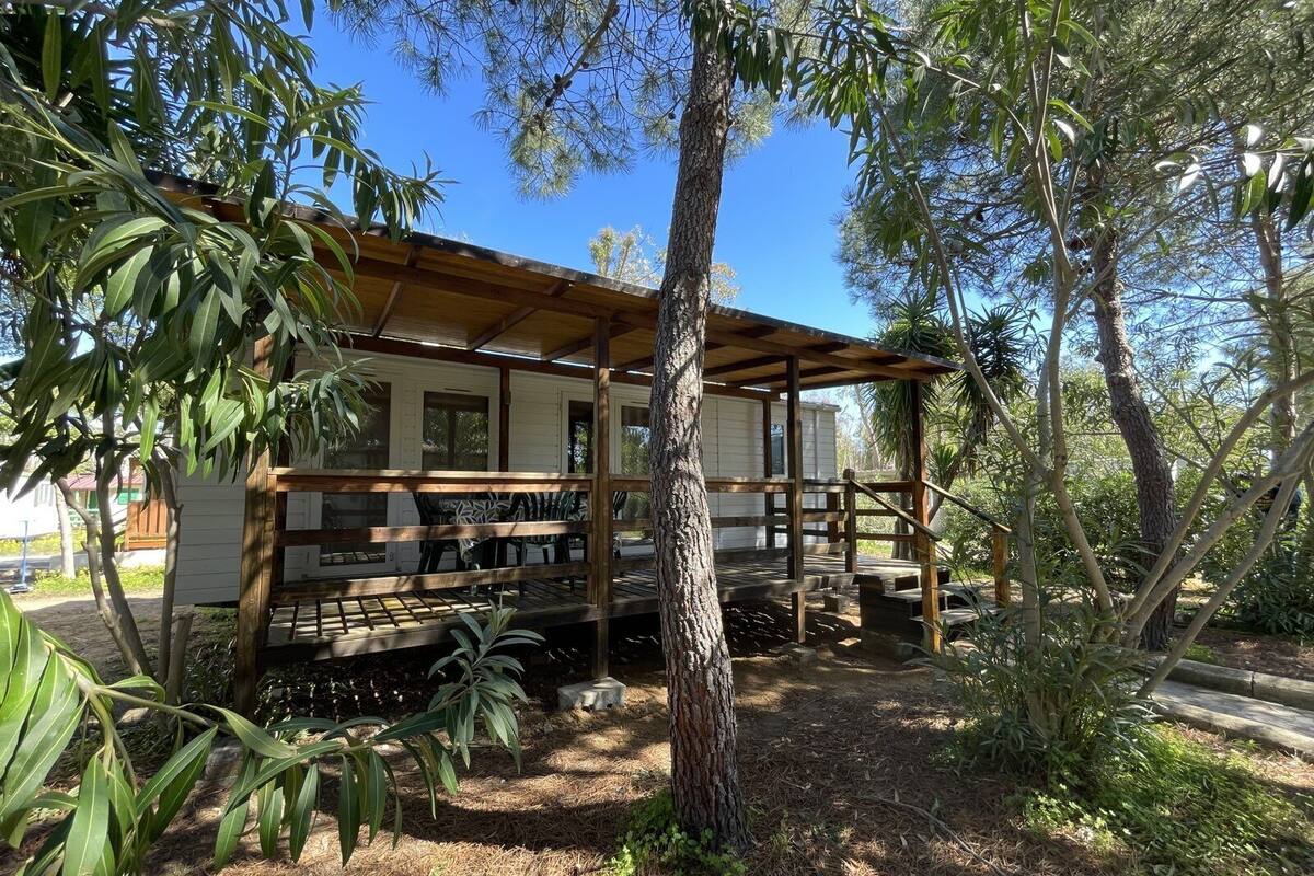 Eine Holzhütte mit überdachter Veranda, umgeben von Bäumen und Pflanzen.
