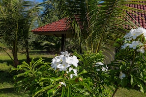 Budget Bungalow | Jardín