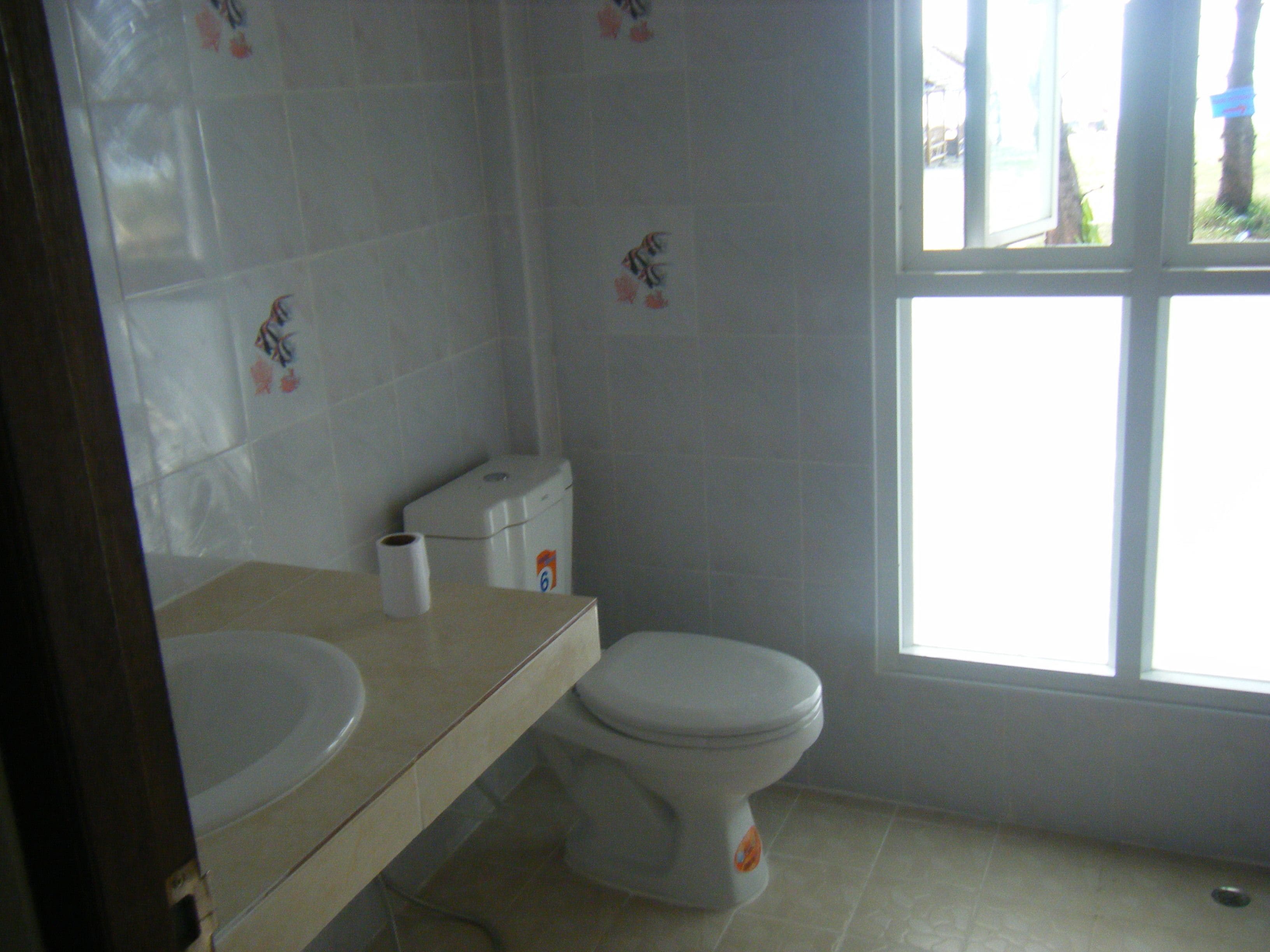 shower, free toiletries, towels