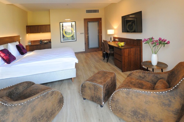 Deluxe Double Room, 1 King Bed, Terrace, Courtyard View | Premium bedding, minibar, in-room safe, desk