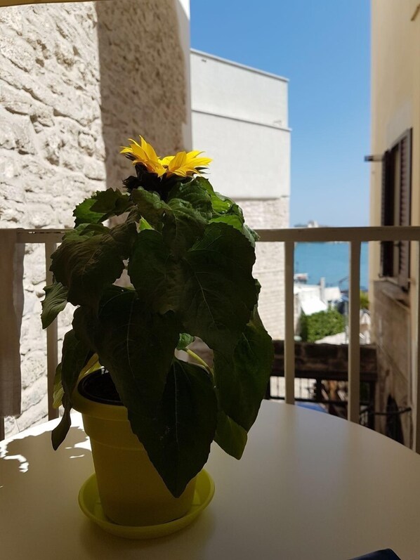 Premium Suite, 1 Bedroom, Balcony, Ocean View | Bathroom shower - La Banchina Holiday Rooms (Trani)
