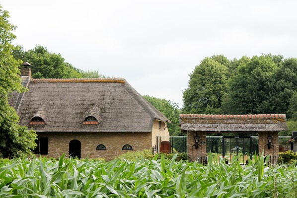 A traditional brick building with a thatched roof, surrounded by lush greenery and a cornfield. - Schaluinenhoeve (Baarle-Nassau)