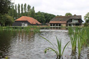 Vista desde la propiedad