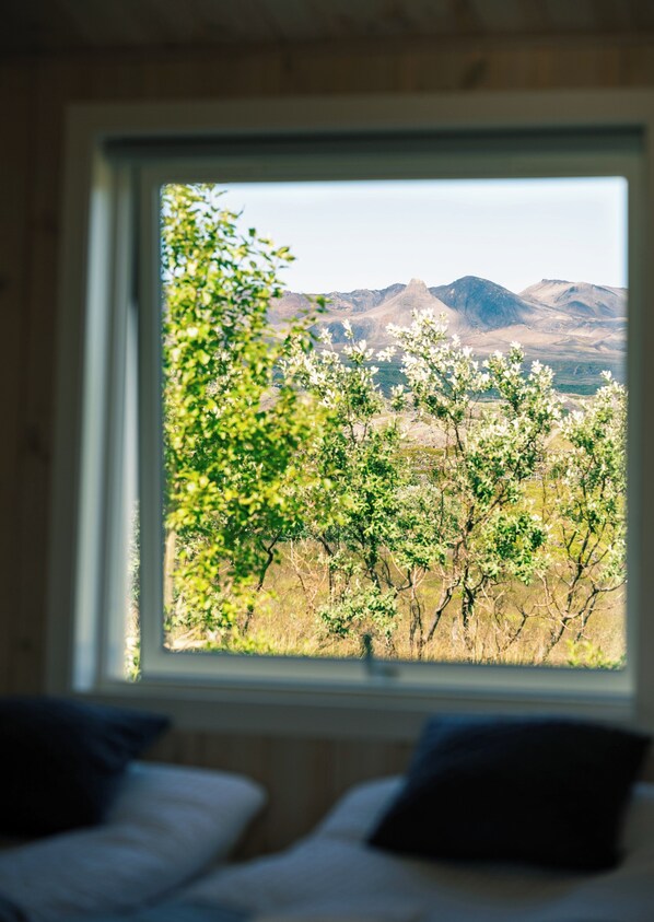 Apartment | View from room