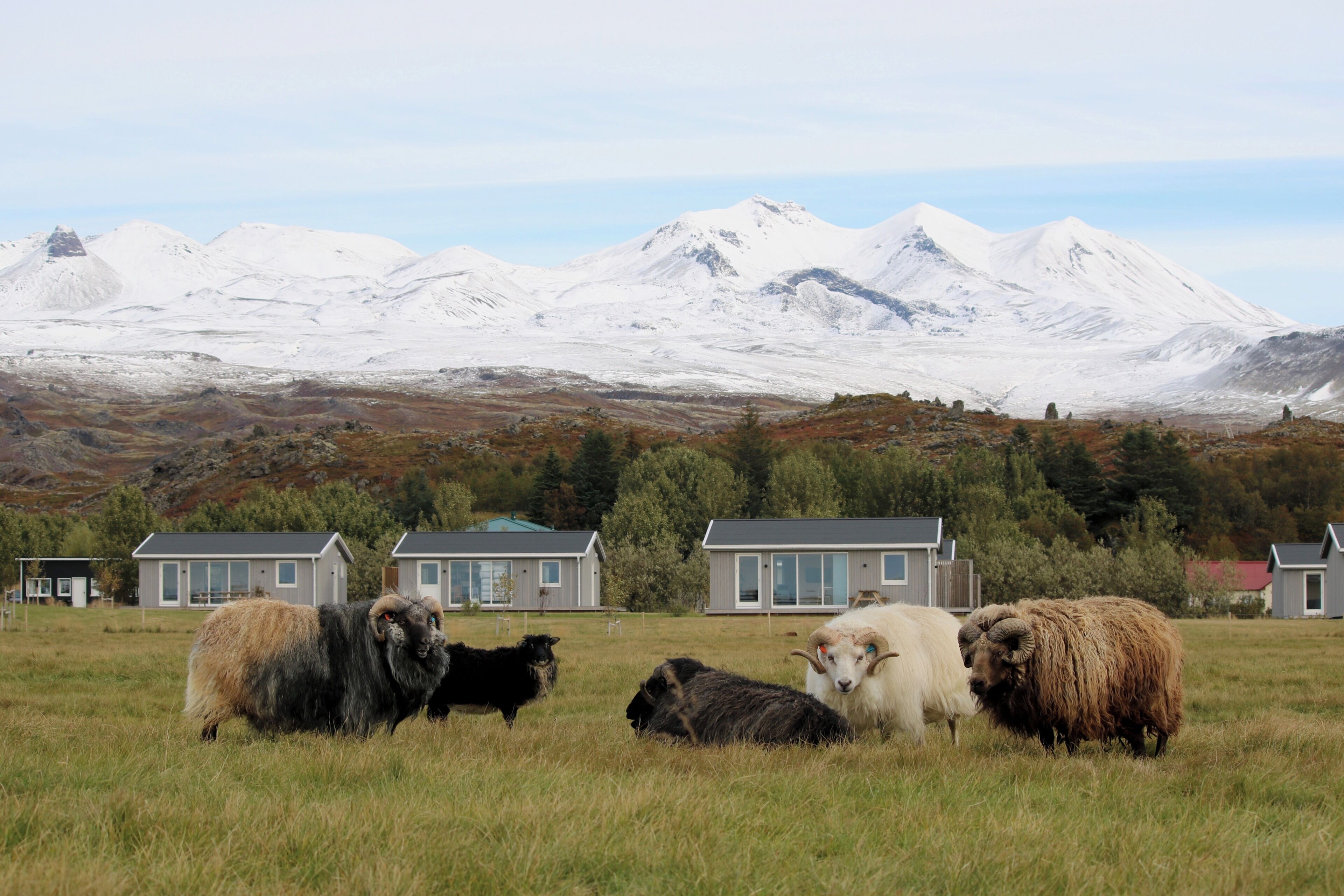واجهة المنشأة