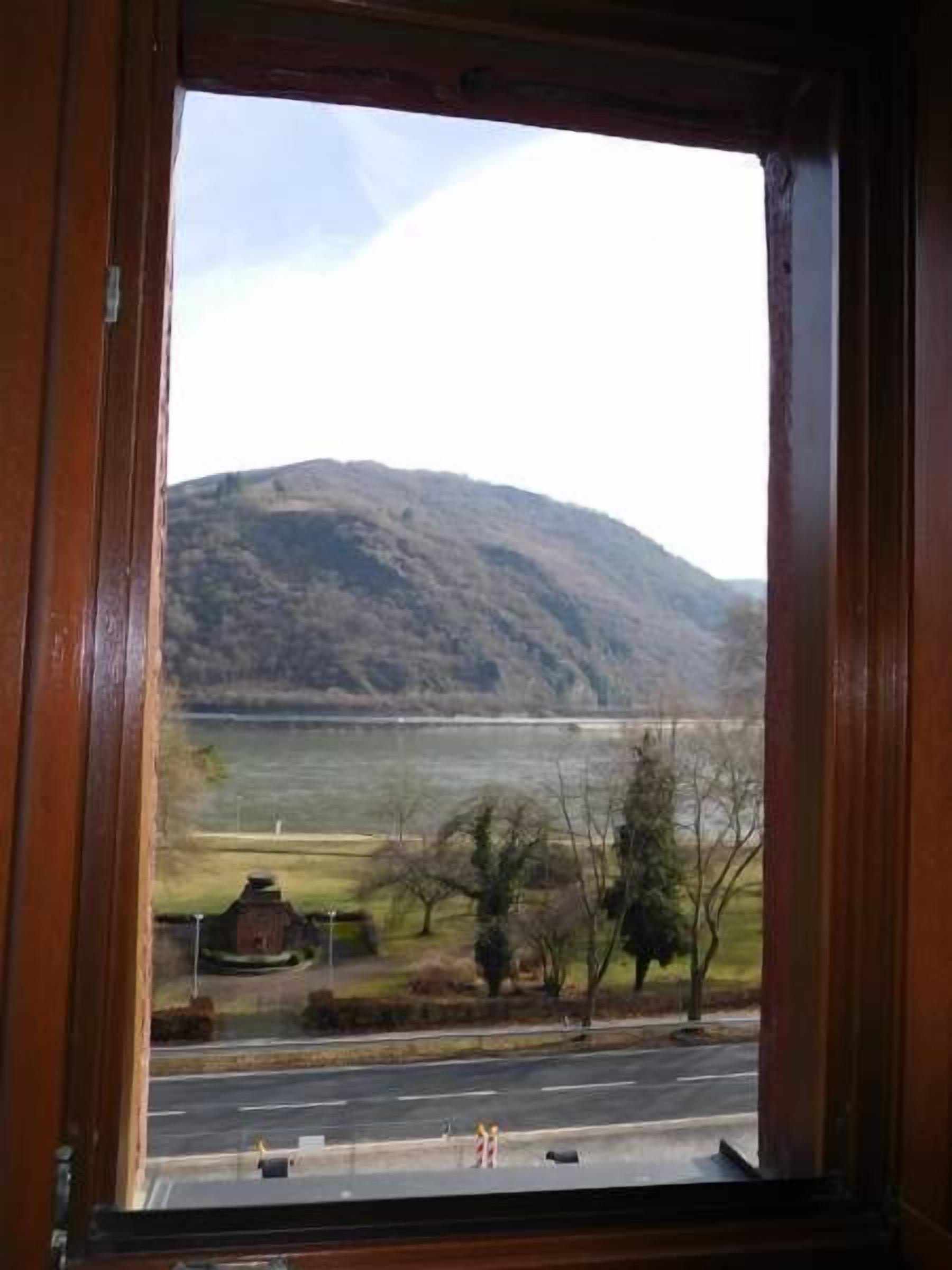 Single Room, River View | View from room