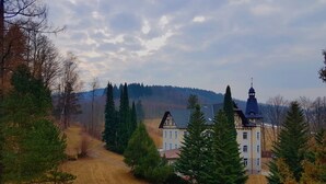 A large, traditional building with a prominent tower, surrounded by a forested area and a clear path leading to it. - Villa Grohmann (Lipova-Lazne)