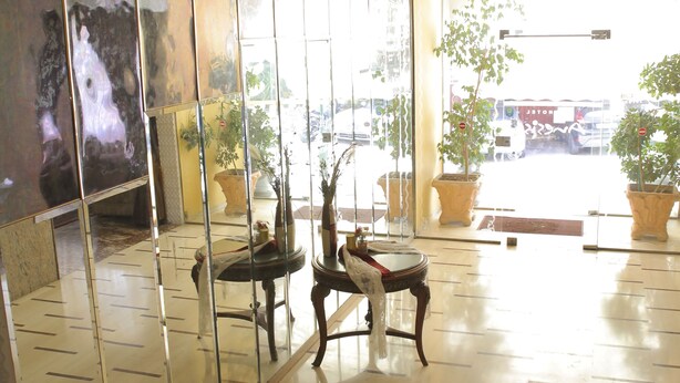 A lobby with a glass partition, potted plants, and a view of the street outside. - Hotel Anesi (Metamorfosi)