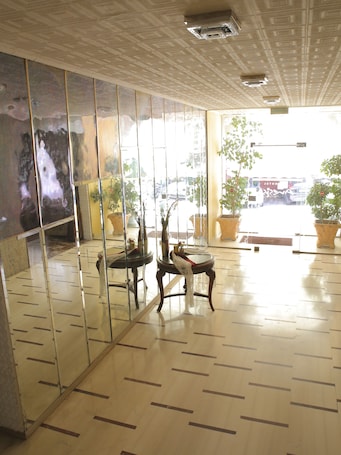Interior entrance. Hotel Anesi