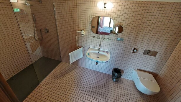 Een badkamer met douche, wastafel en toilet.