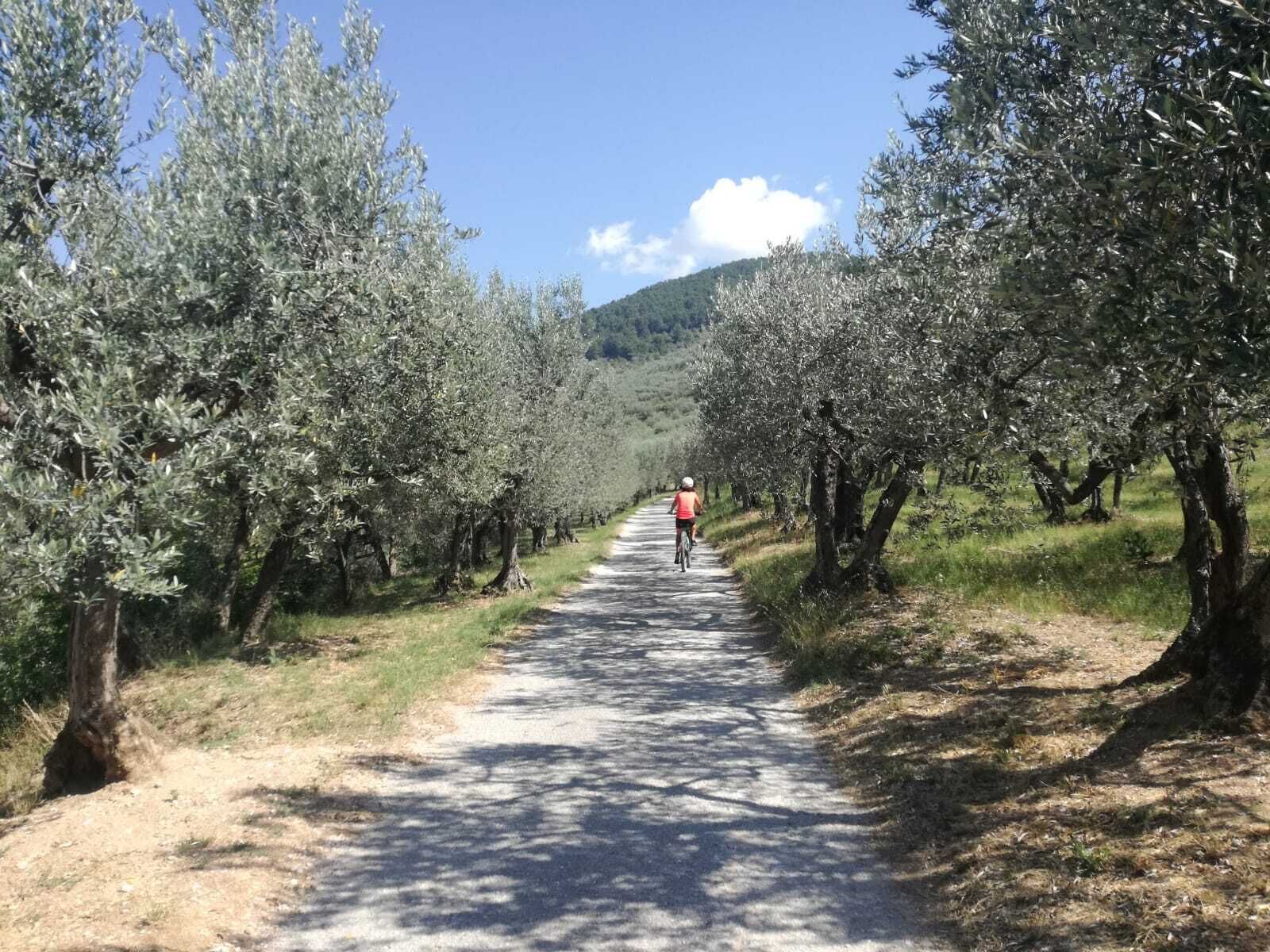 Foto - Il Fienile di Assisi