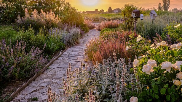 A garden pathway with various plants and flowers, leading to a structure with birdhouses. - Il Fienile di Assisi (Assisi)