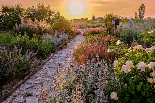 Il Fienile di Assisi