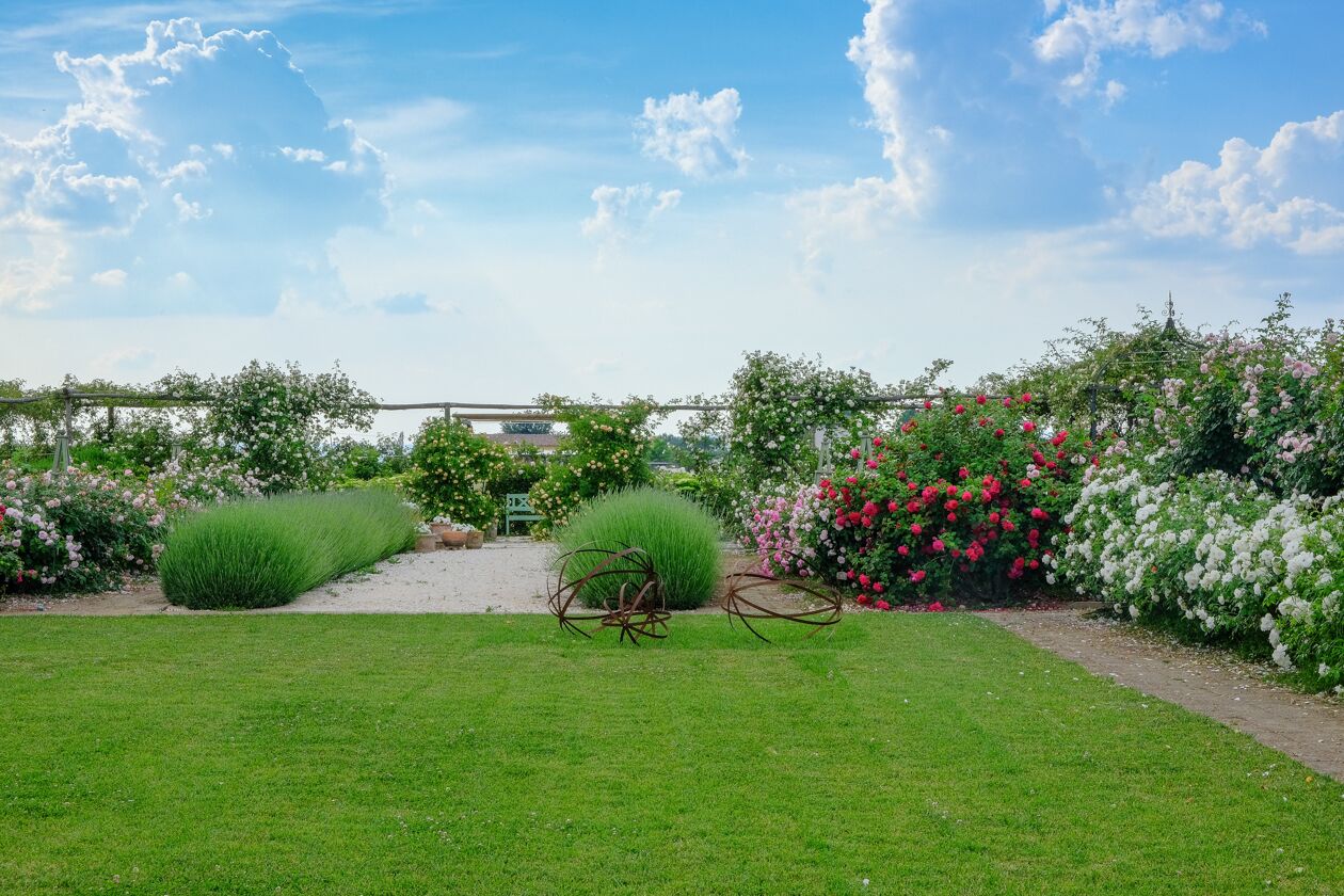 Un jardín bien cuidado con diversas plantas en flor y un cielo despejado.