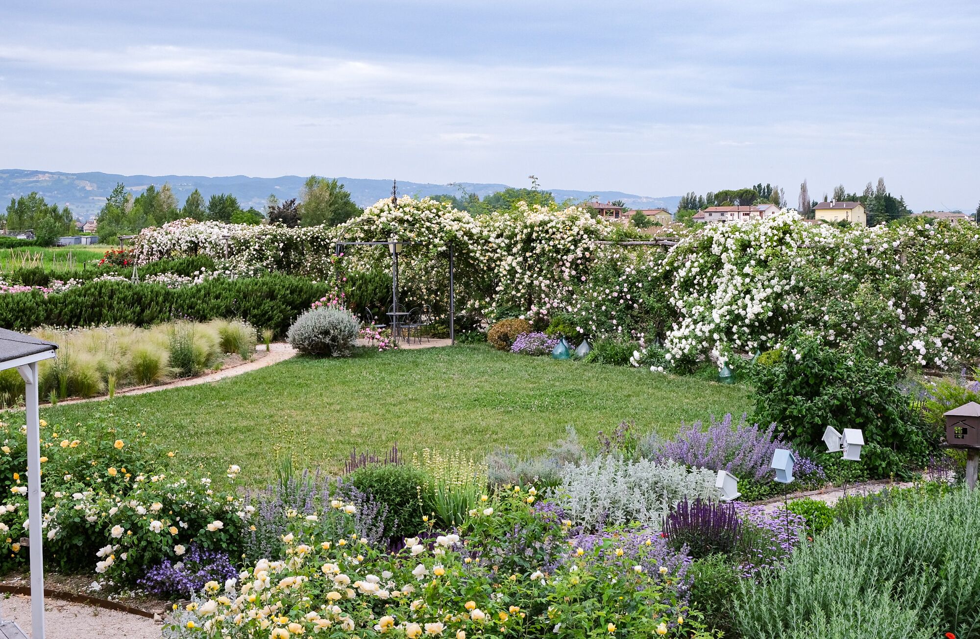 Een verzorgde tuin met diverse bloeiende planten en een gazon.