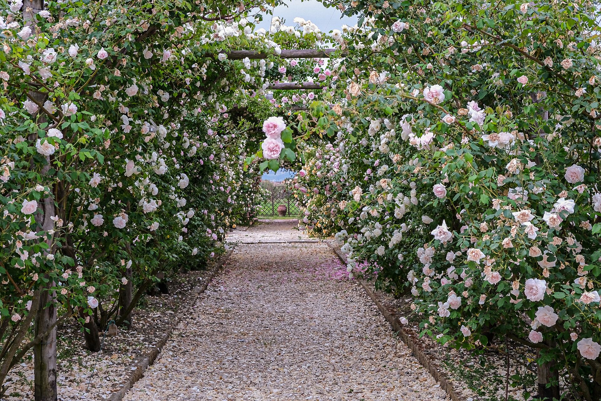 Foto - Il Fienile di Assisi
