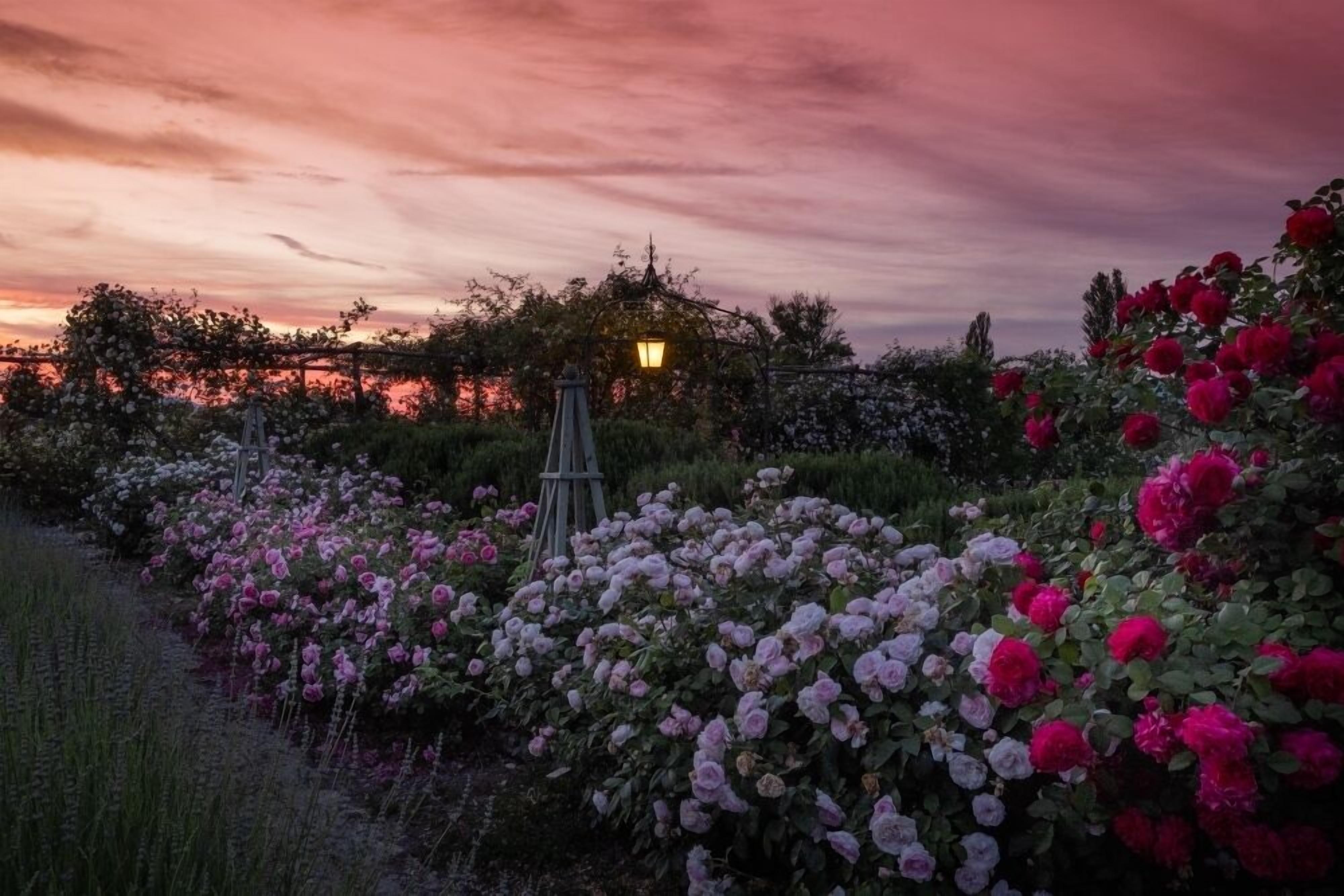 Foto - Il Fienile di Assisi