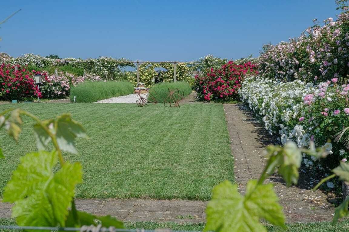 A well-maintained garden with a variety of flowers and a bicycle in the center.