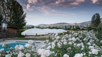 Seasonal outdoor pool, pool umbrellas, sun loungers