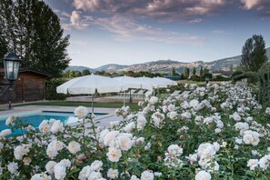 Seasonal outdoor pool, pool umbrellas, sun loungers - Il Fienile di Assisi (Assisi)