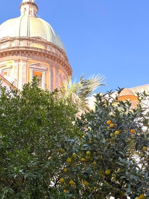 Vue depuis l’hébergement