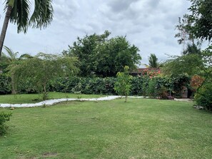 Un jardín bien cuidado con diversos árboles y arbustos, un césped y un camino empedrado.
