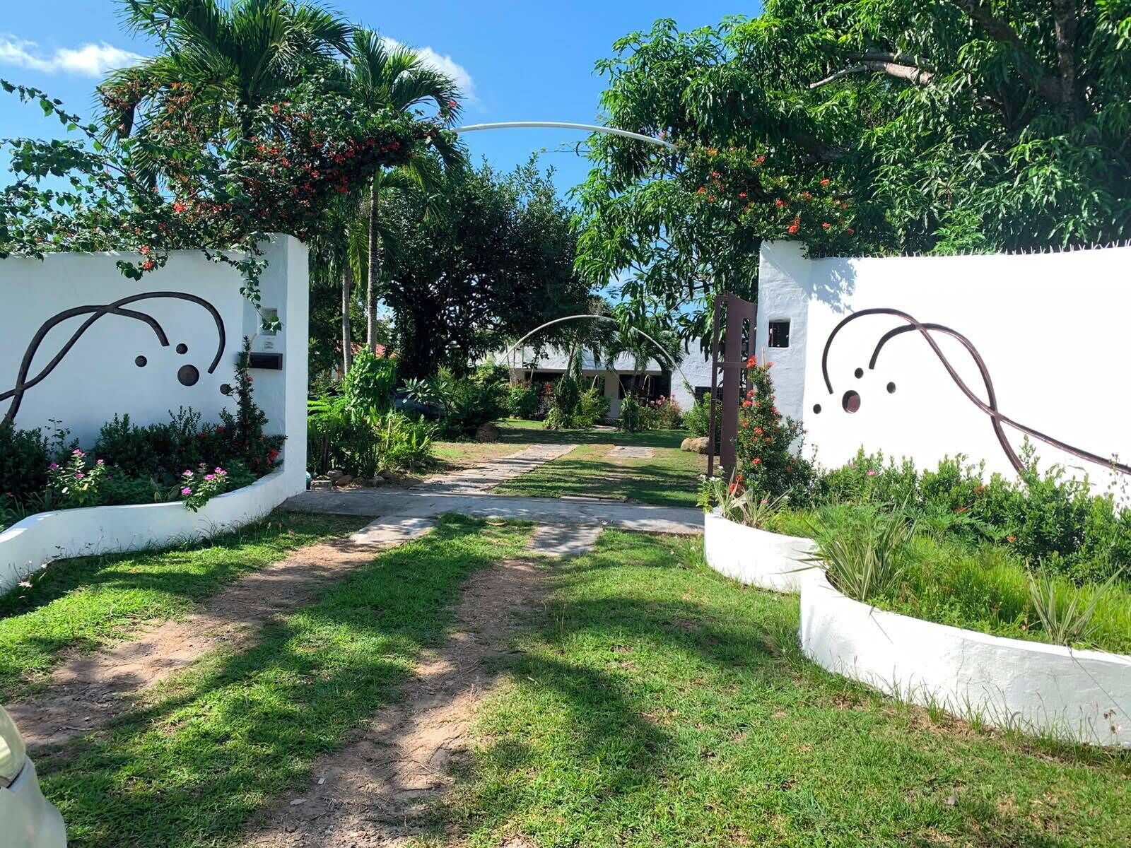 A pathway leading to a building with white walls and a garden with various plants and flowers.