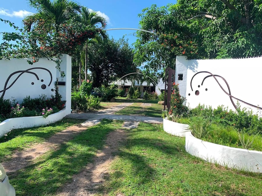Un chemin menant à un bâtiment aux murs blancs et à un jardin où poussent différentes plantes et fleurs.