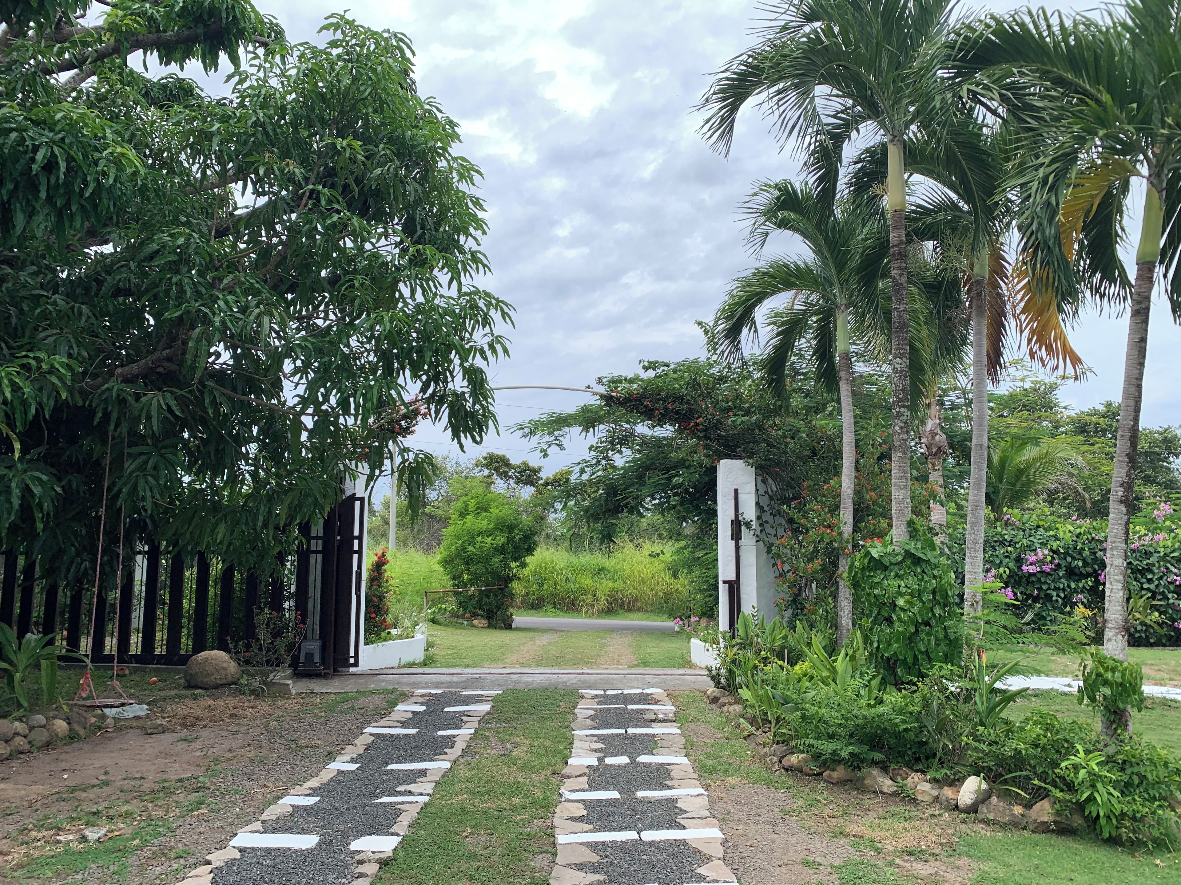 Un camino que conduce a una entrada con puerta de hierro, rodeada de abundante follaje y palmeras.