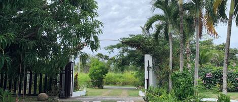 A pathway leading to a gated entrance surrounded by lush greenery and palm trees.
