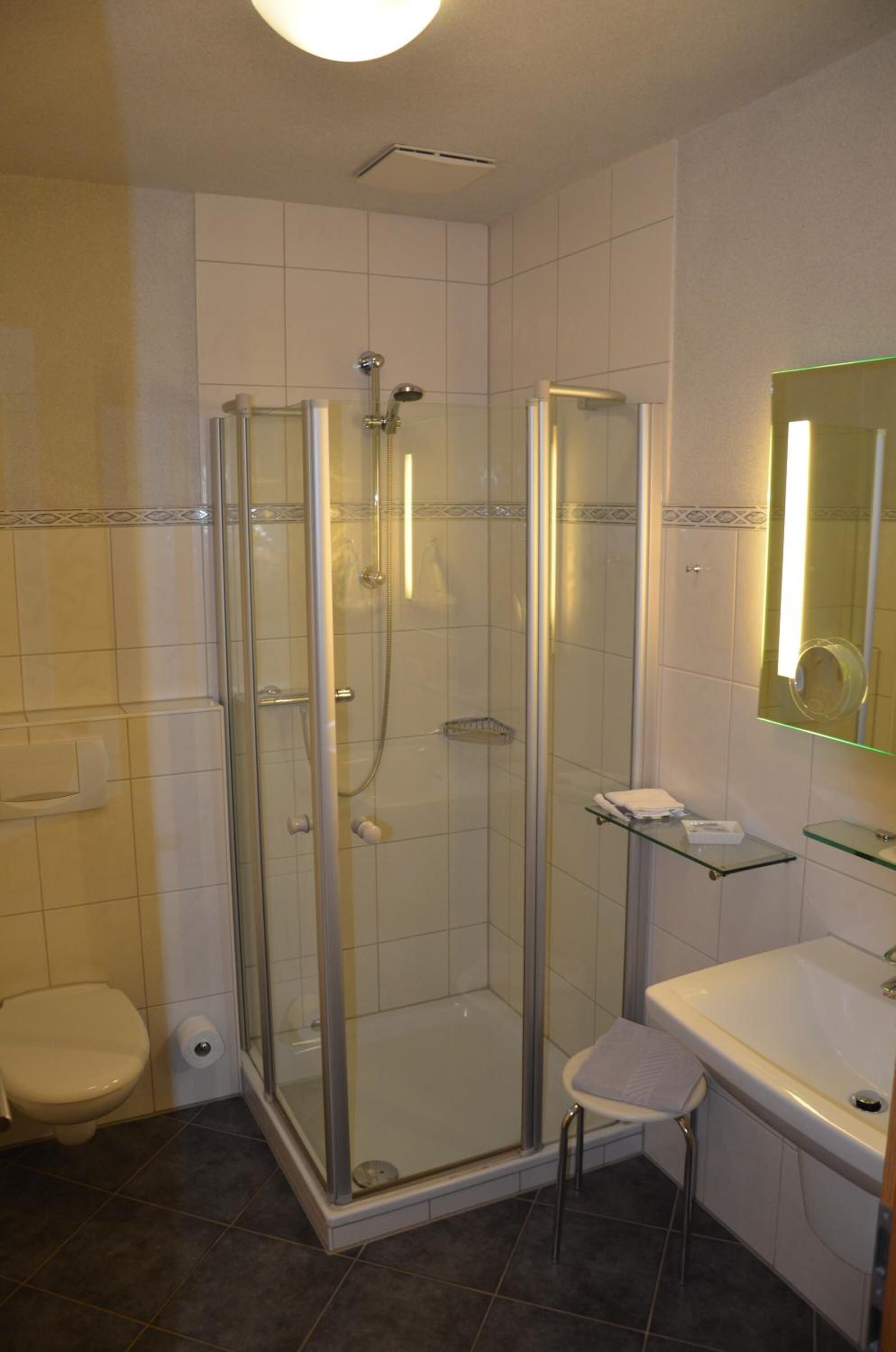 A modern bathroom with a glass-enclosed shower, a toilet, and a sink with a mirror.