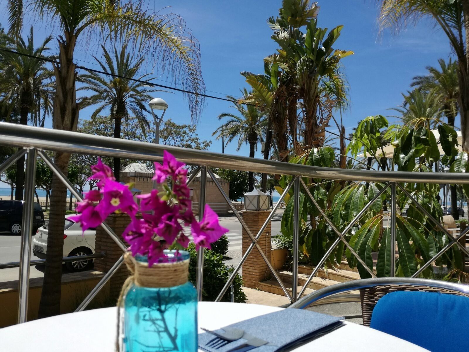 A balcony with a metal railing, a table with a blue water bottle and pink flowers, and a view of palm trees and a beach.